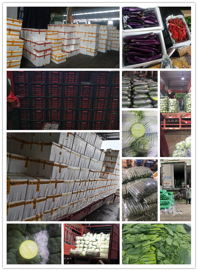 manbet官网-相信品牌力量