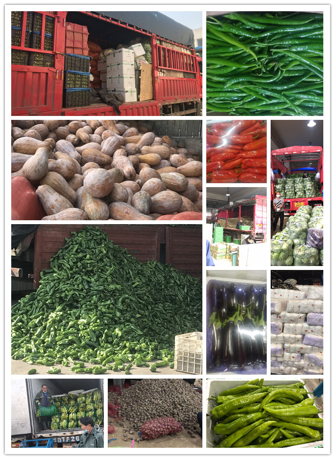 manbet官网-相信品牌力量