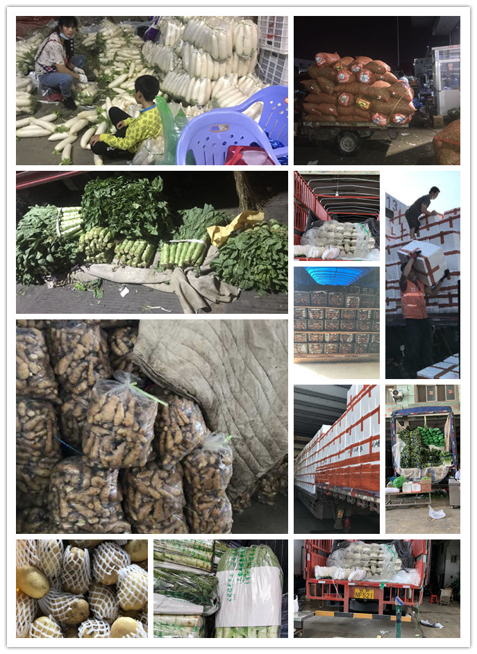 manbet官网-相信品牌力量