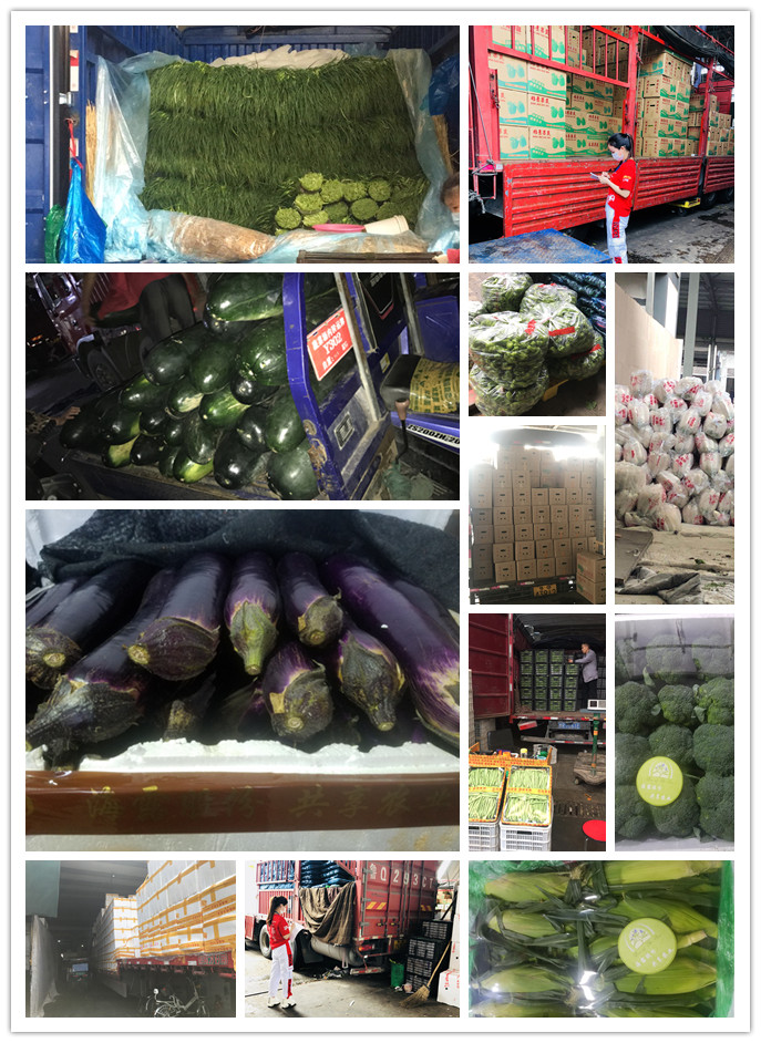 manbet官网-相信品牌力量