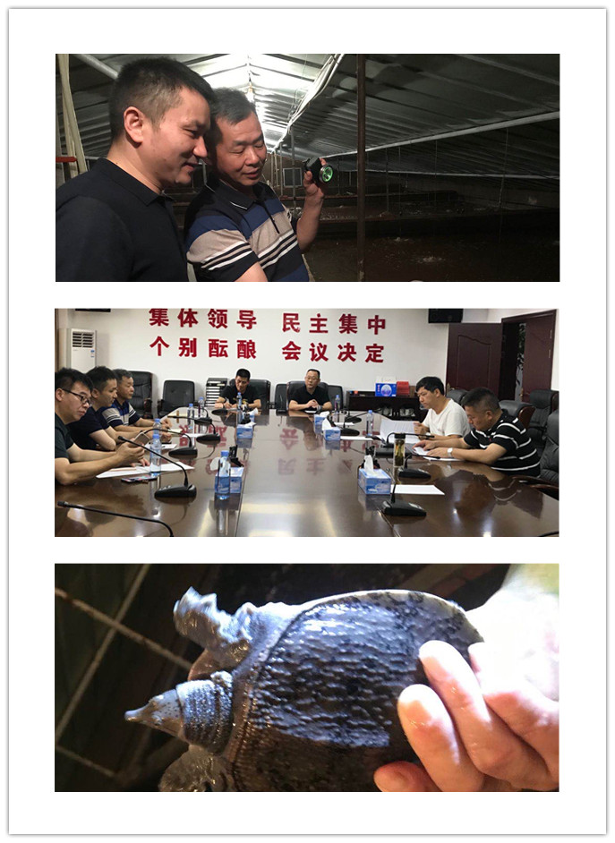 manbet官网-相信品牌力量