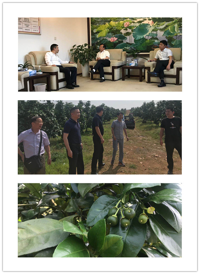 manbet官网-相信品牌力量