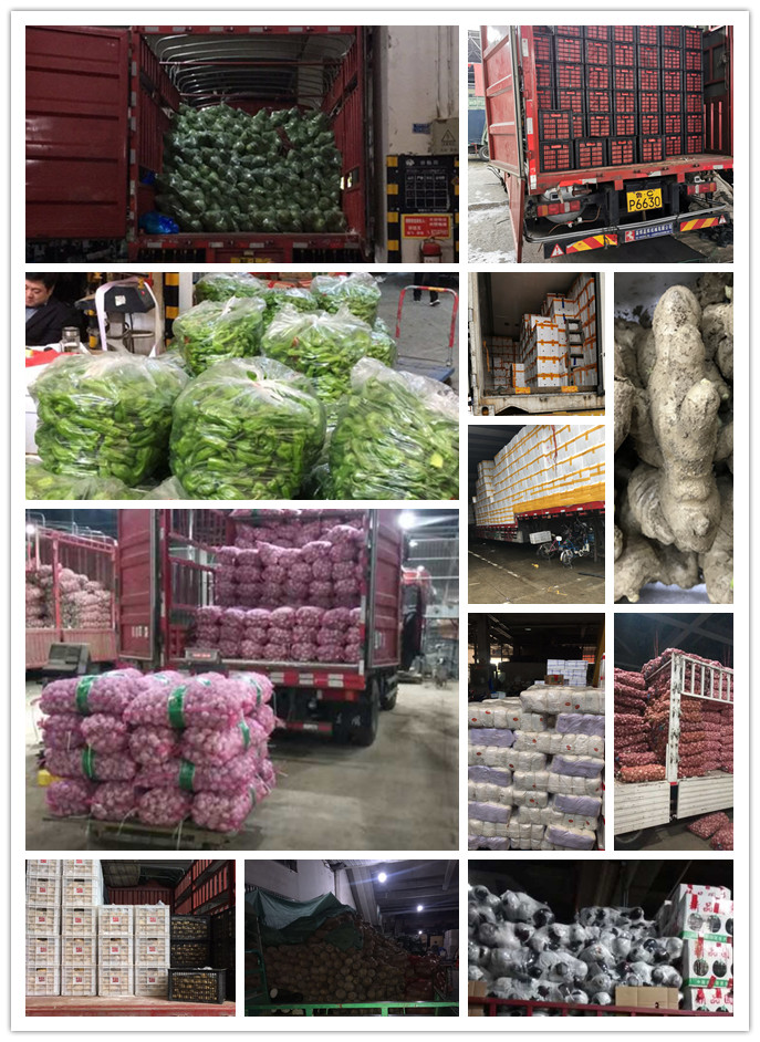 manbet官网-相信品牌力量