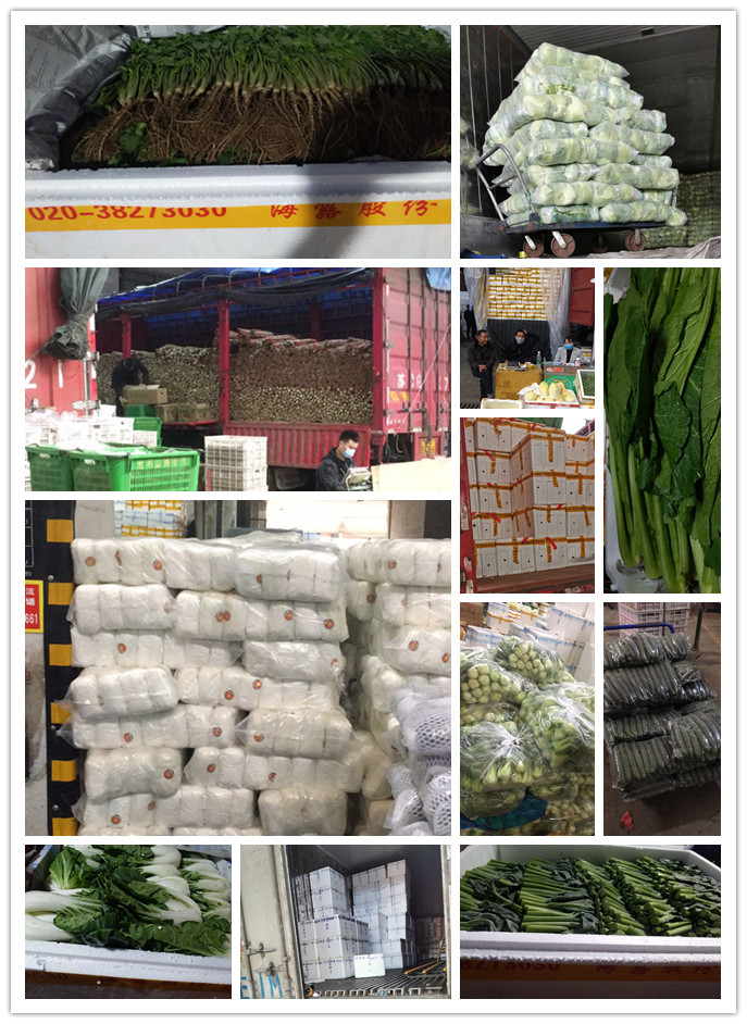 manbet官网-相信品牌力量