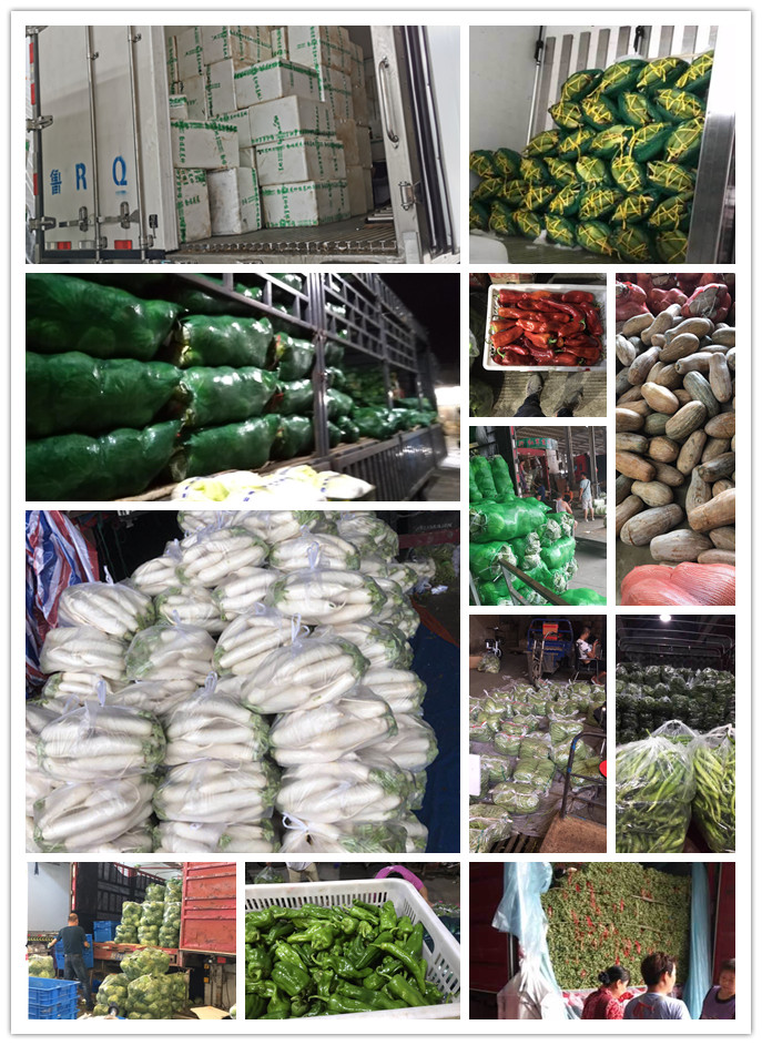 manbet官网-相信品牌力量