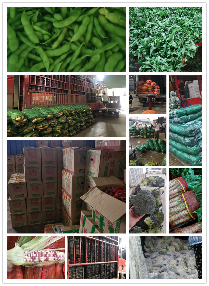 manbet官网-相信品牌力量