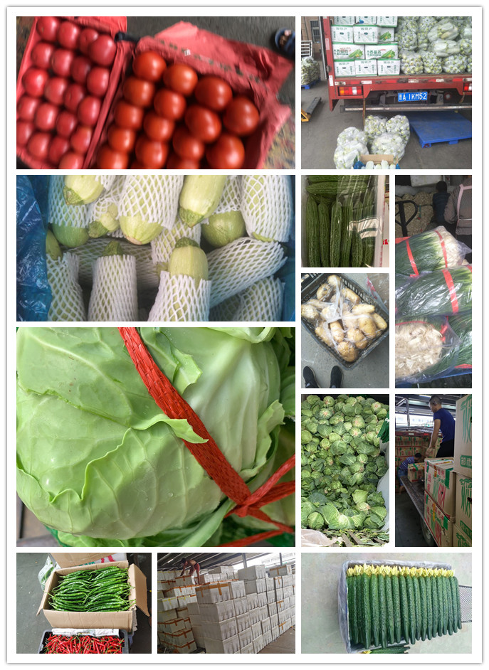 manbet官网-相信品牌力量