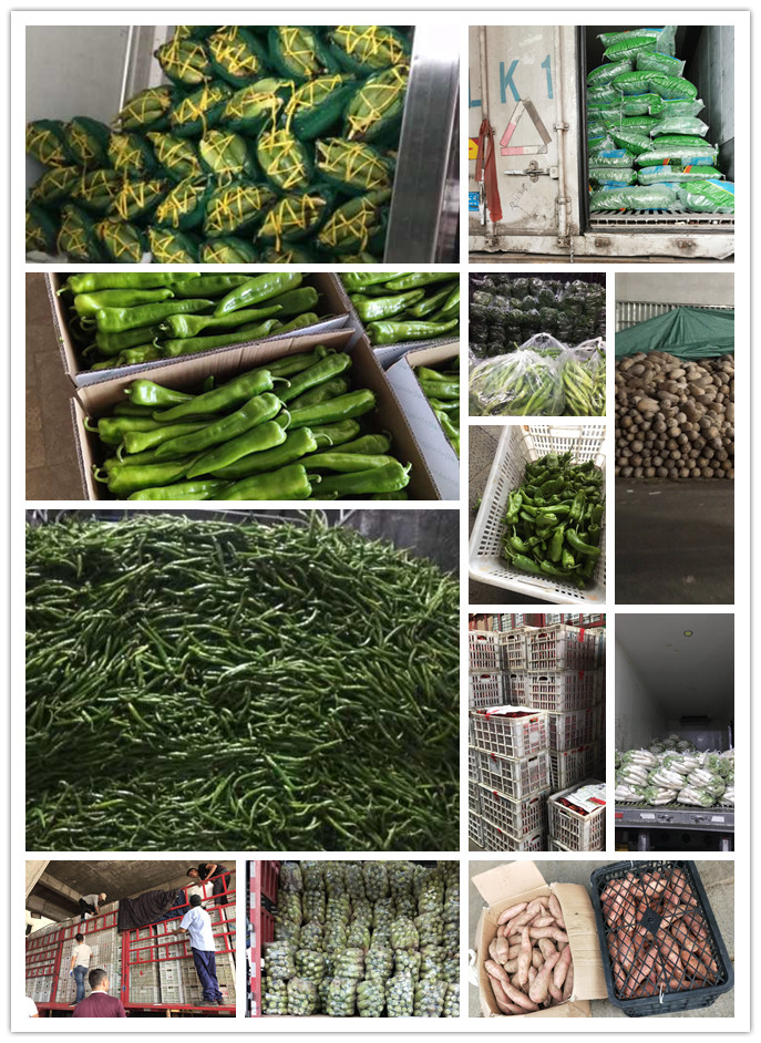 manbet官网-相信品牌力量