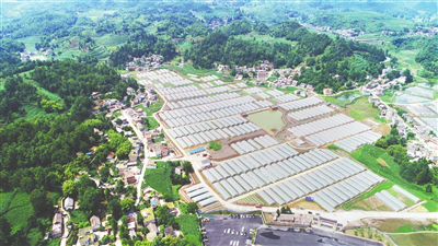 manbet官网-相信品牌力量