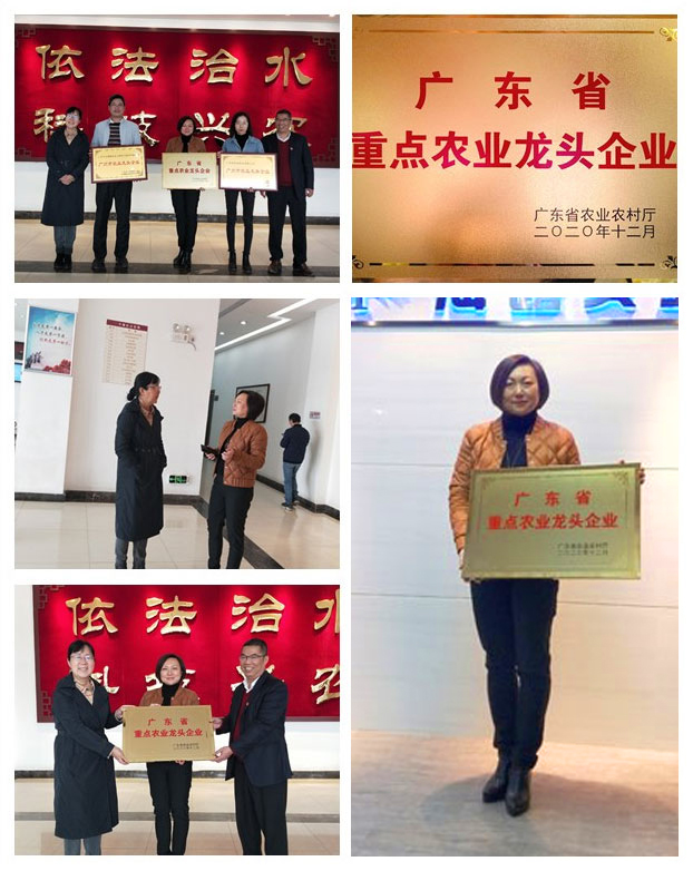 manbet官网-相信品牌力量