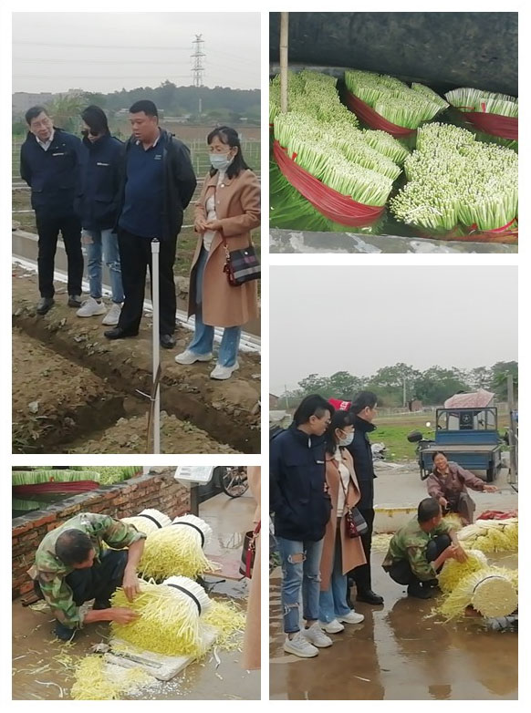 manbet官网-相信品牌力量