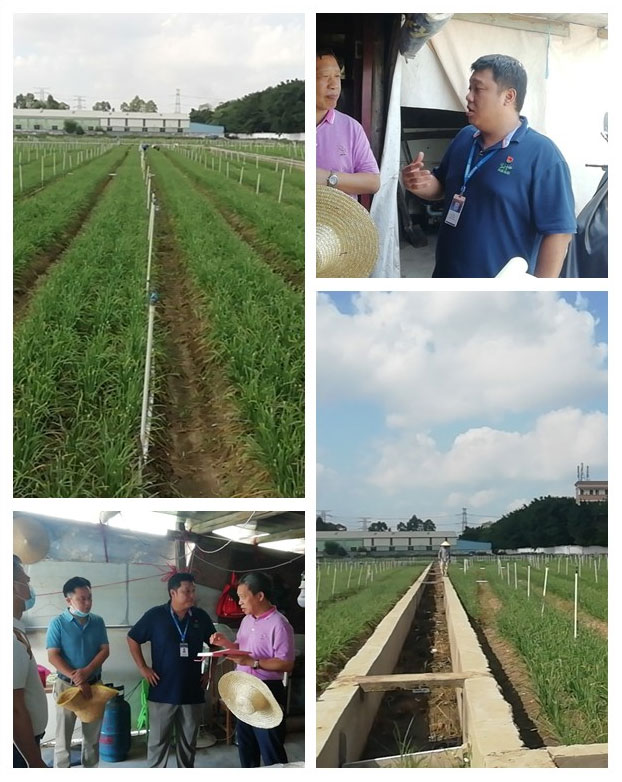 manbet官网-相信品牌力量