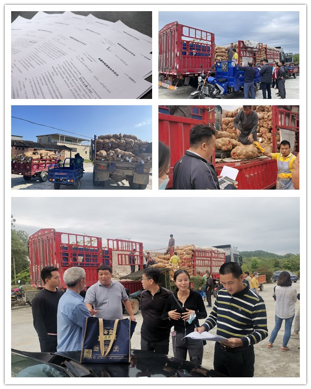 manbet官网-相信品牌力量