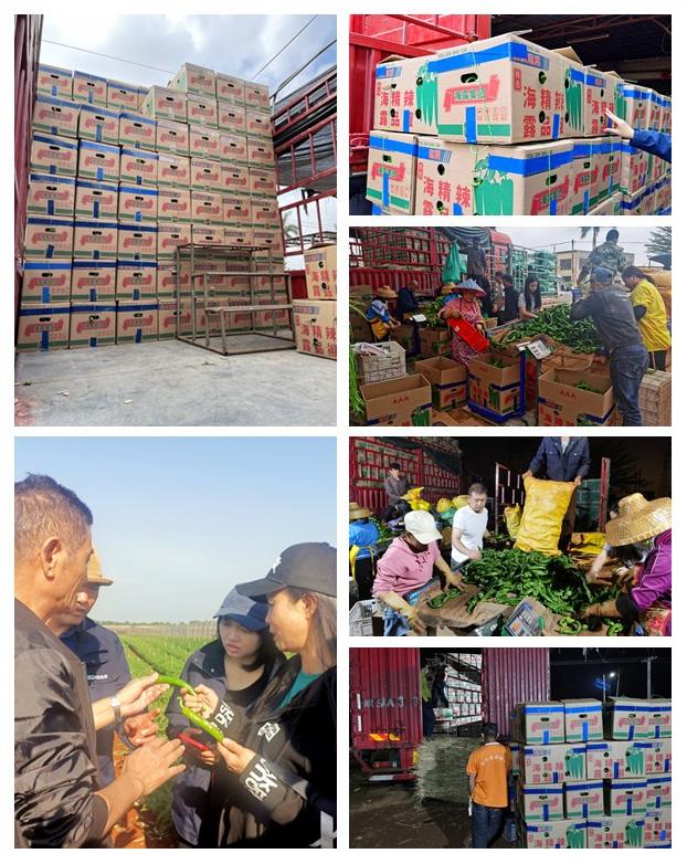 manbet官网-相信品牌力量