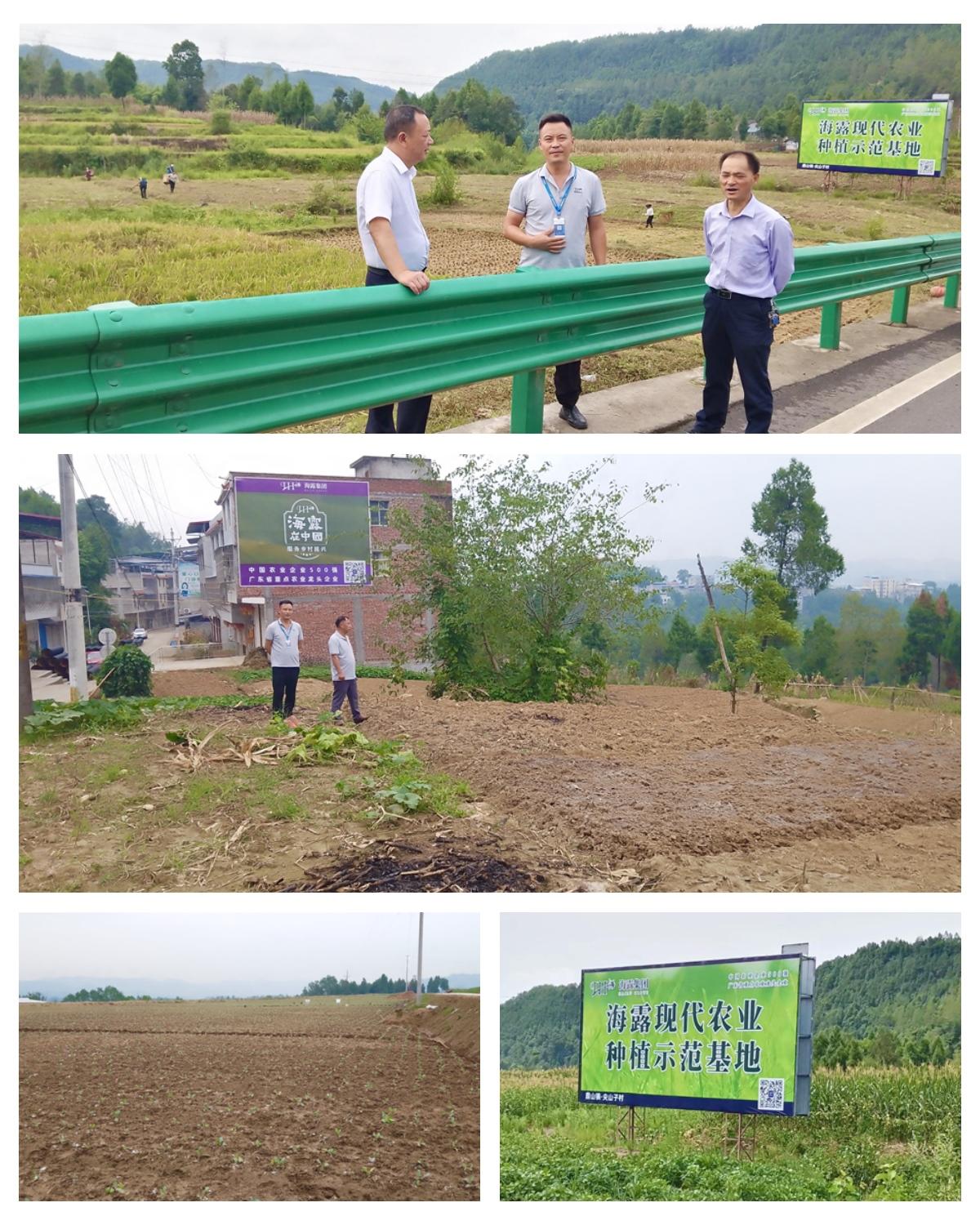 manbet官网-相信品牌力量