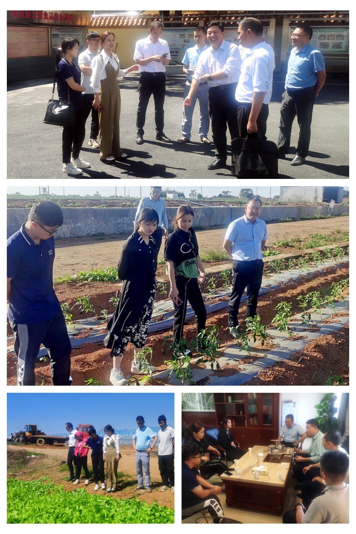 manbet官网-相信品牌力量