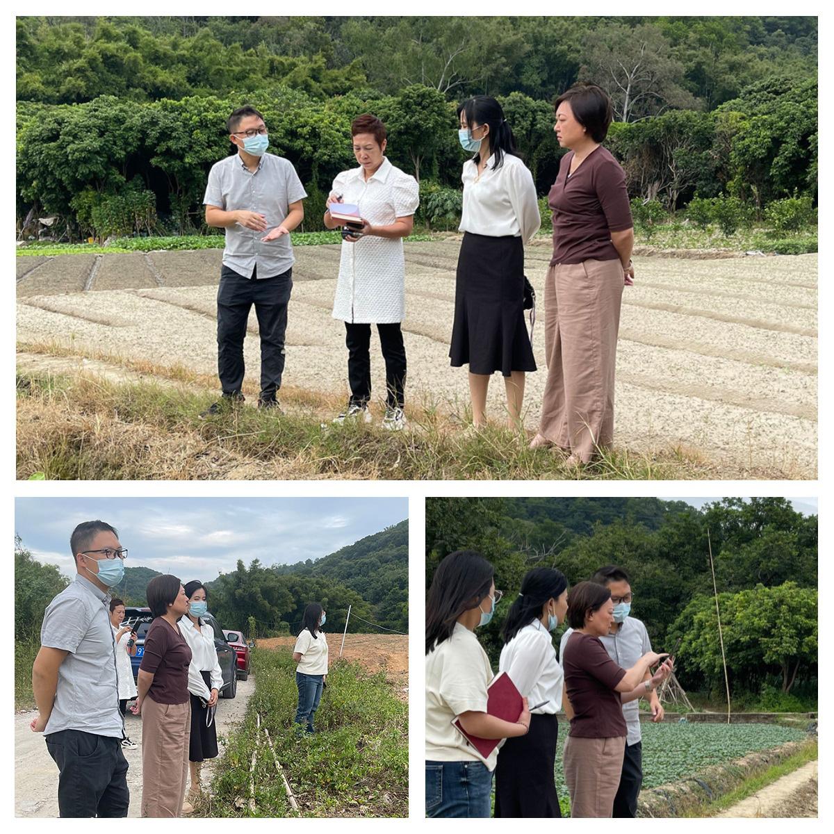 manbet官网-相信品牌力量