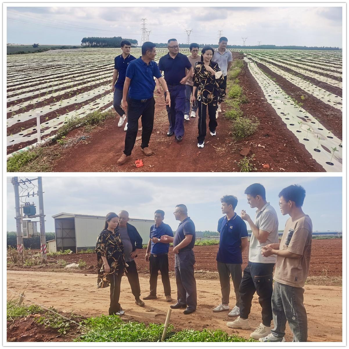 manbet官网-相信品牌力量