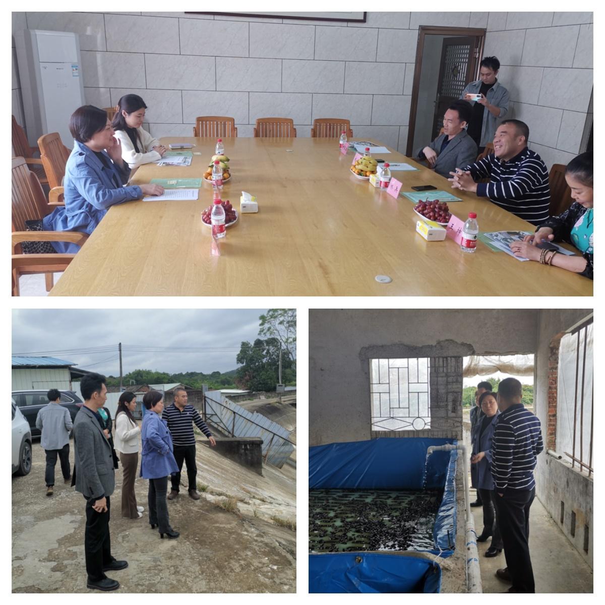 manbet官网-相信品牌力量