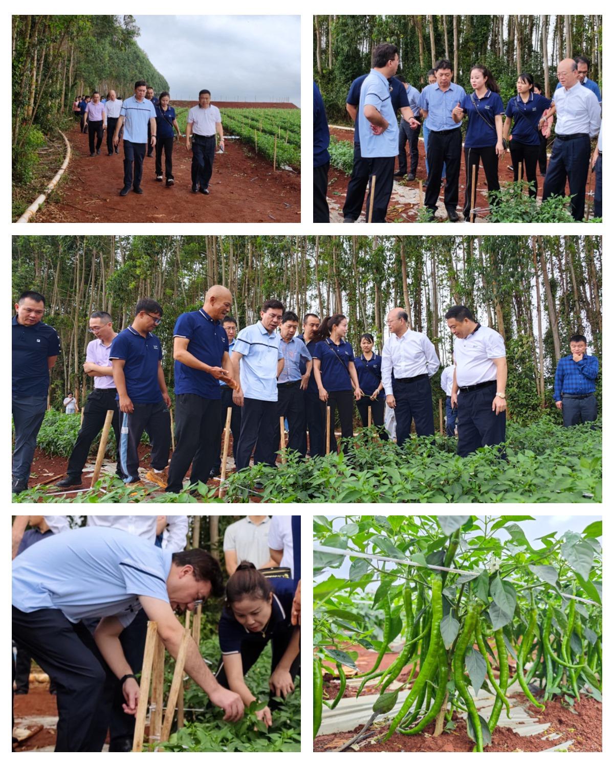manbet官网-相信品牌力量