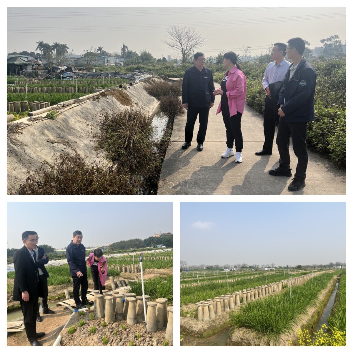 manbet官网-相信品牌力量