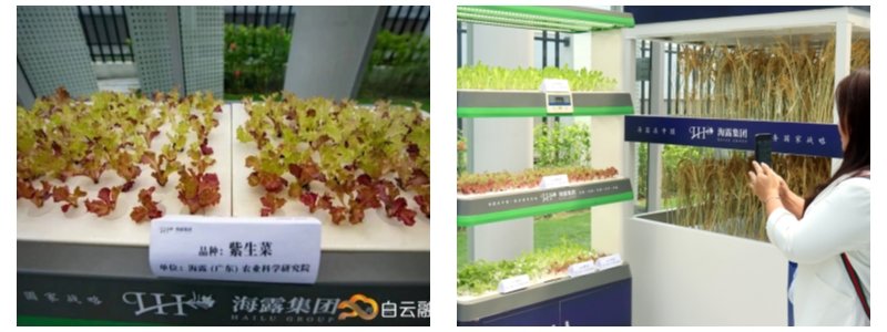 manbet官网-相信品牌力量