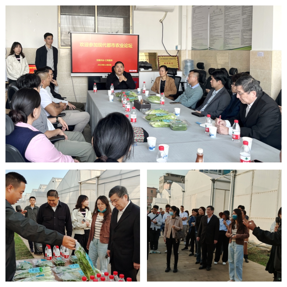 manbet官网-相信品牌力量