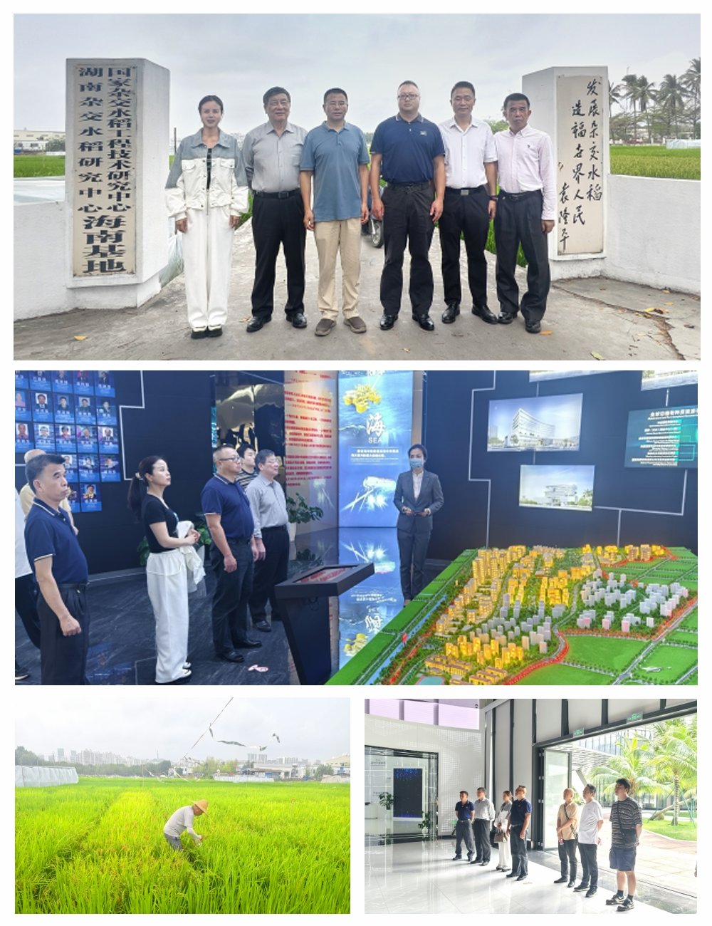 manbet官网-相信品牌力量