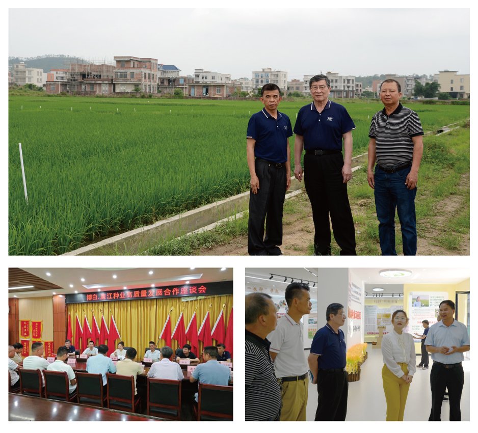 manbet官网-相信品牌力量