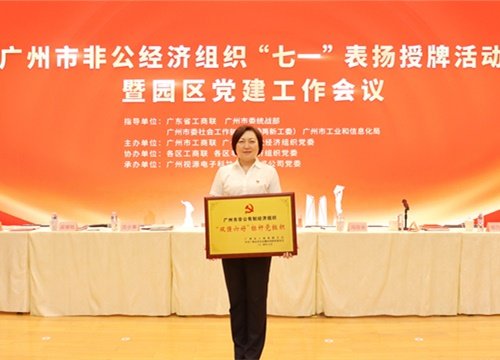 标杆引领，荣誉升级！集团党支部荣膺广州市非公有造经济组织“双强六好”标