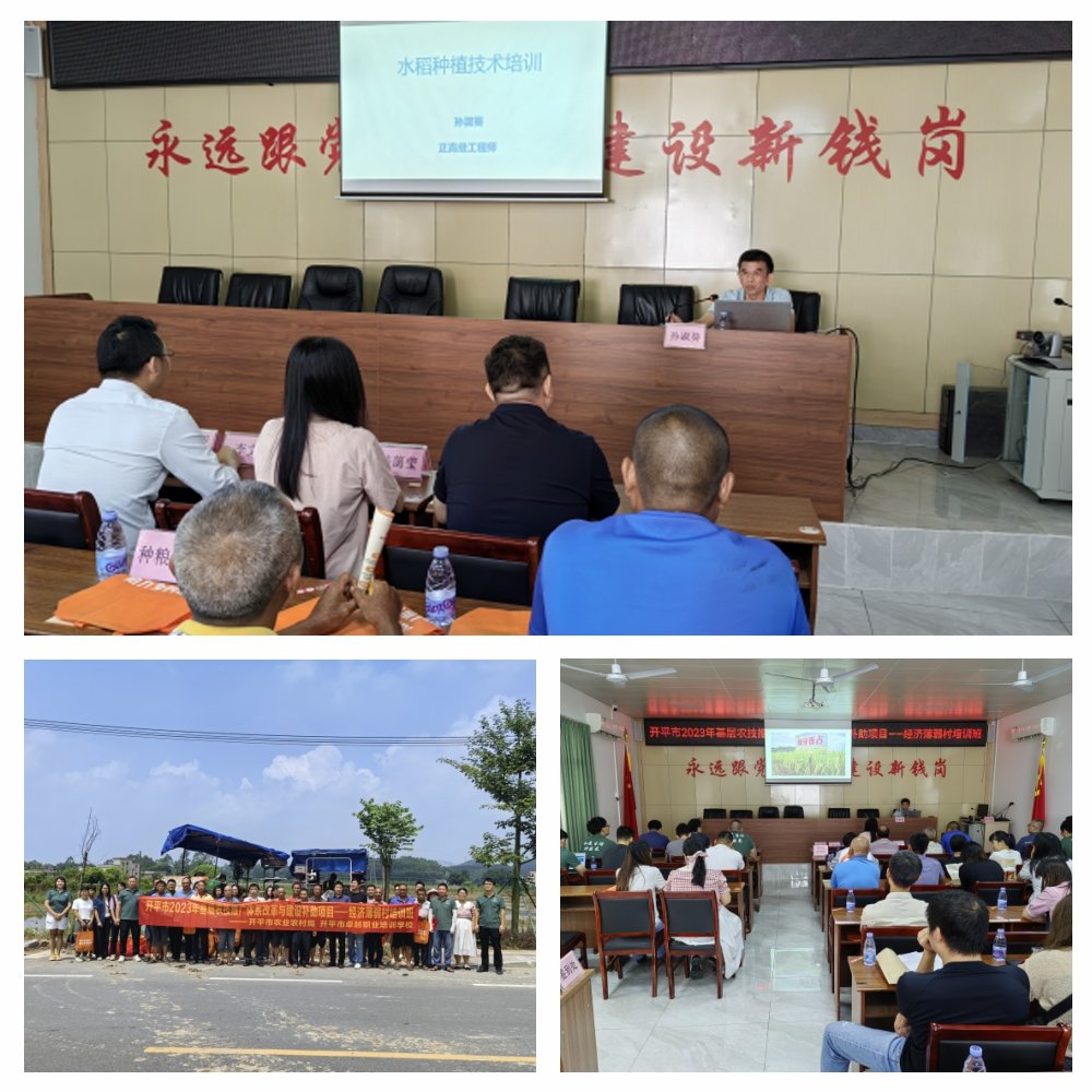 manbet官网-相信品牌力量