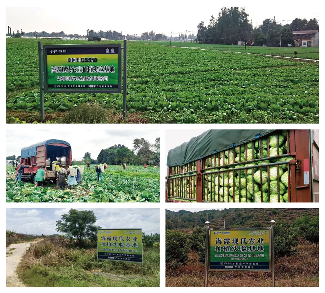 manbet官网-相信品牌力量