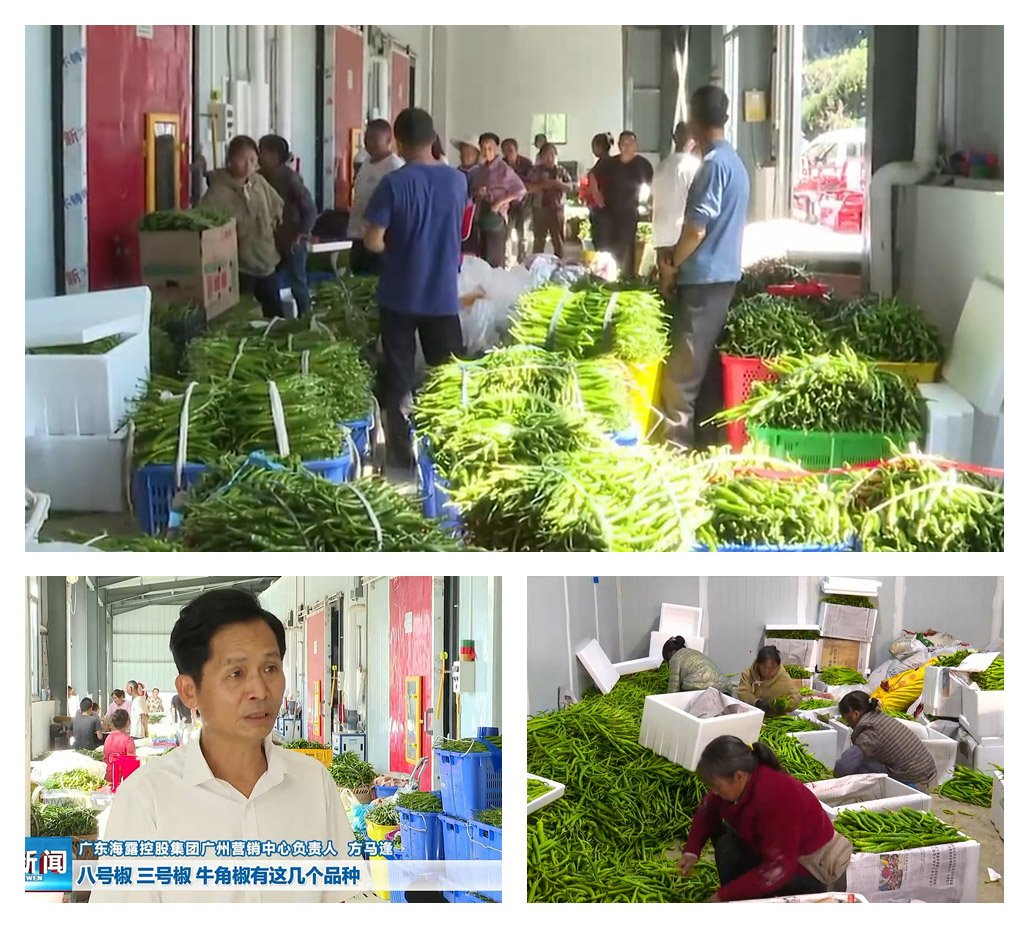 manbet官网-相信品牌力量