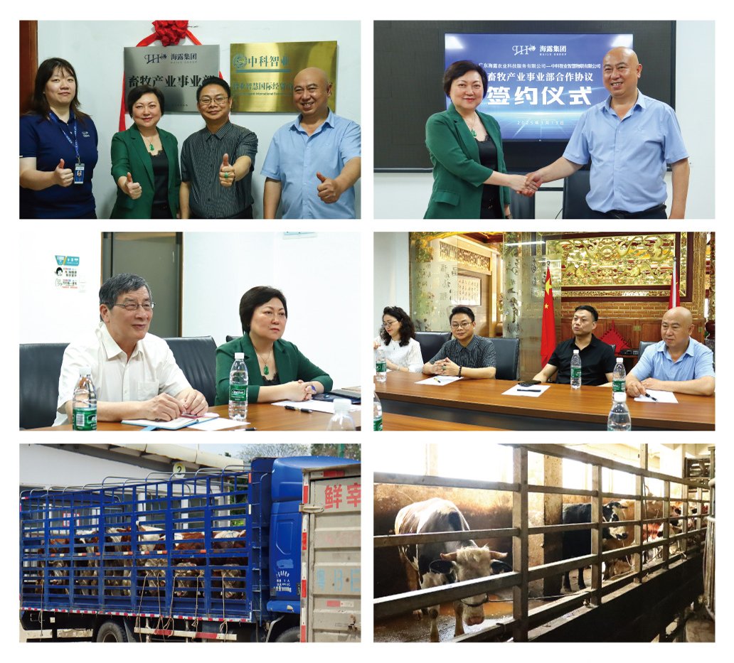 manbet官网-相信品牌力量