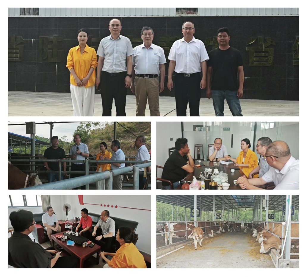 manbet官网-相信品牌力量