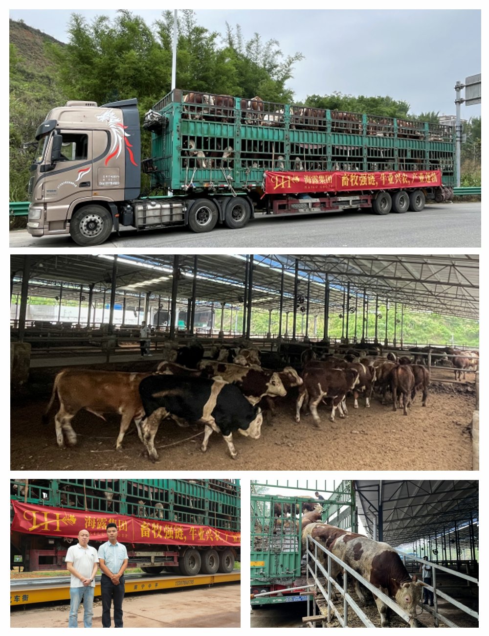 manbet官网-相信品牌力量