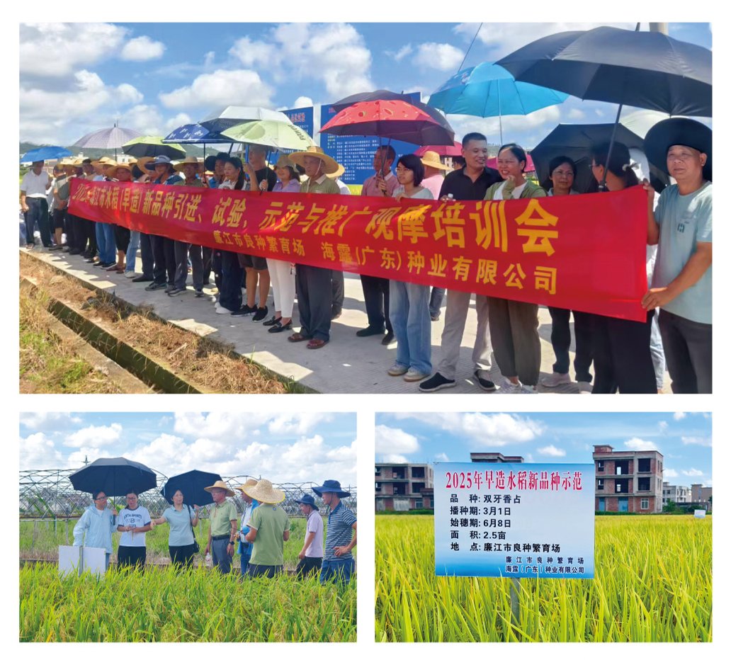 manbet官网-相信品牌力量