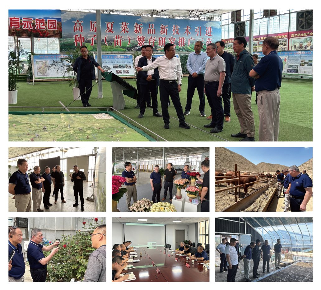 manbet官网-相信品牌力量