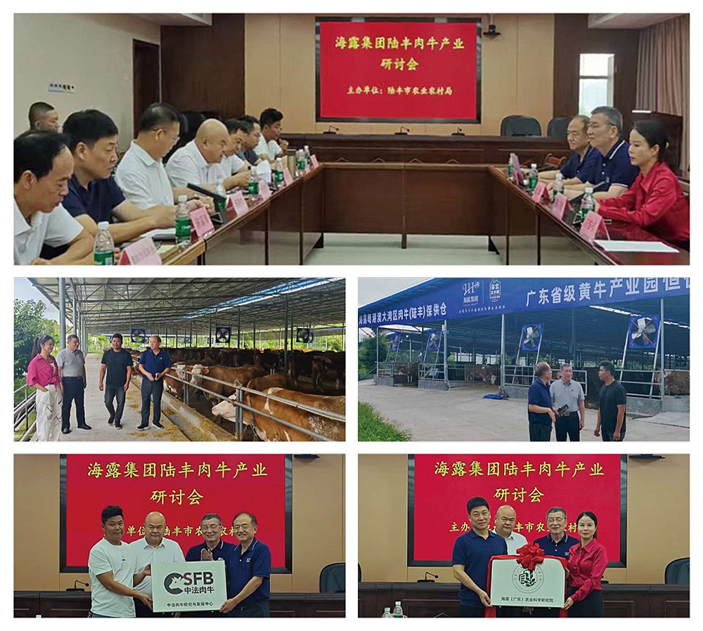 manbet官网-相信品牌力量