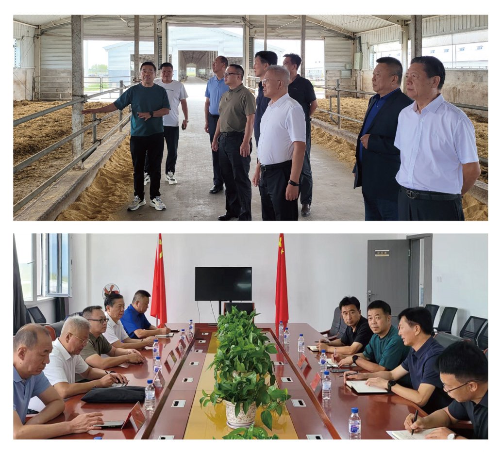 manbet官网-相信品牌力量