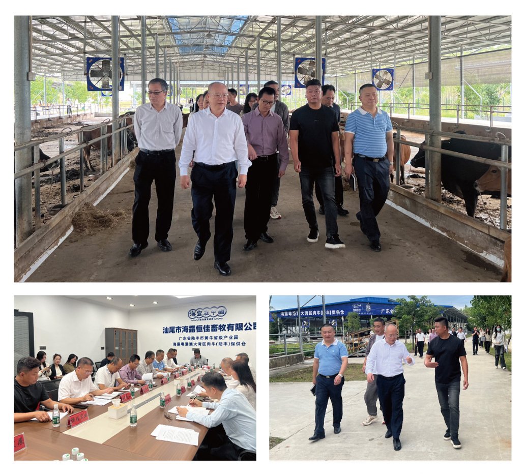 manbet官网-相信品牌力量